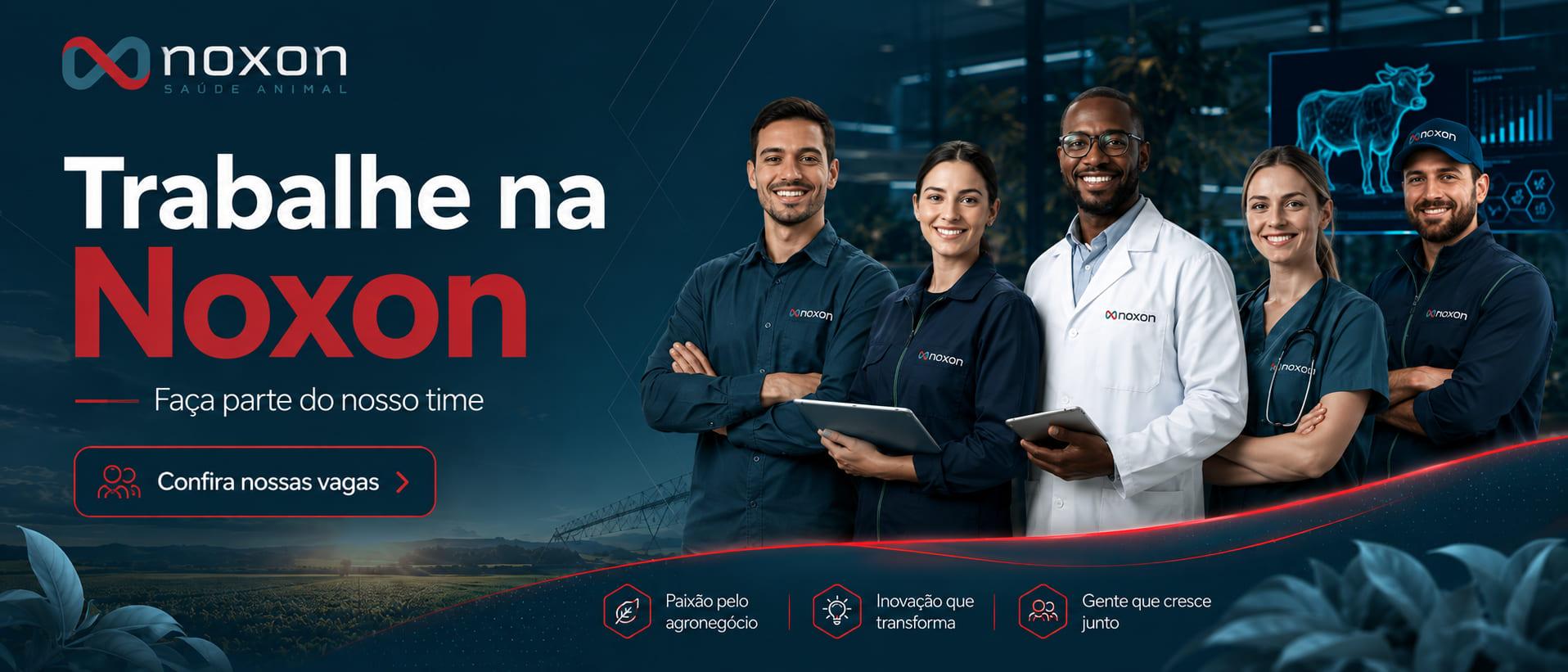 Vagas de Emprego